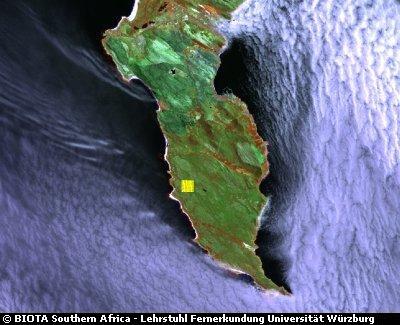 Satellite Image